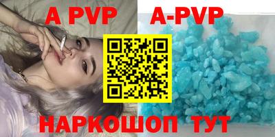 стафф Кингисепп