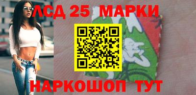 стафф Кингисепп