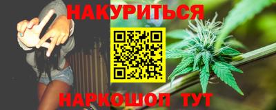 стафф Кингисепп