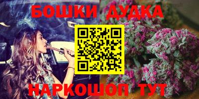 стафф Кингисепп