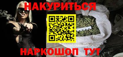 стафф Кингисепп
