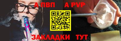 стафф Кингисепп