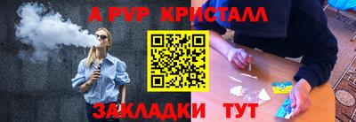 стафф Кингисепп