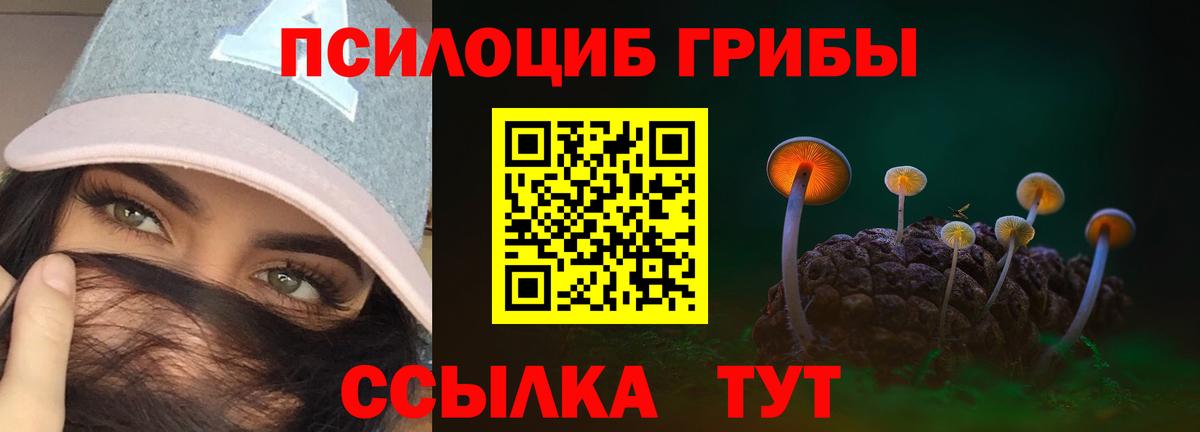 Псилоцибиновые грибы Cubensis  где купить   Вход с VPN  Троицк  Галлюциногенные грибы MAGIC MUSHROOMS 